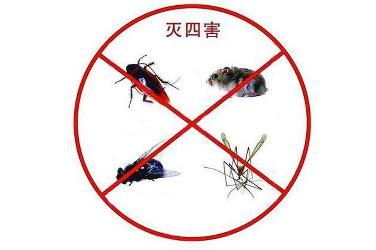 除滅四害的4個重要意義