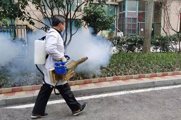 滅鼠公司哪家價格便宜